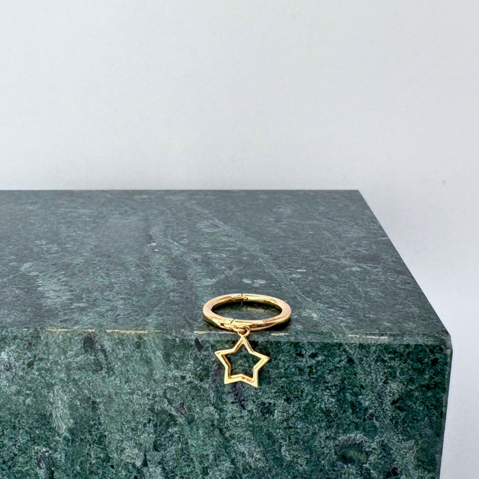 E0049 || Dallas Huggie