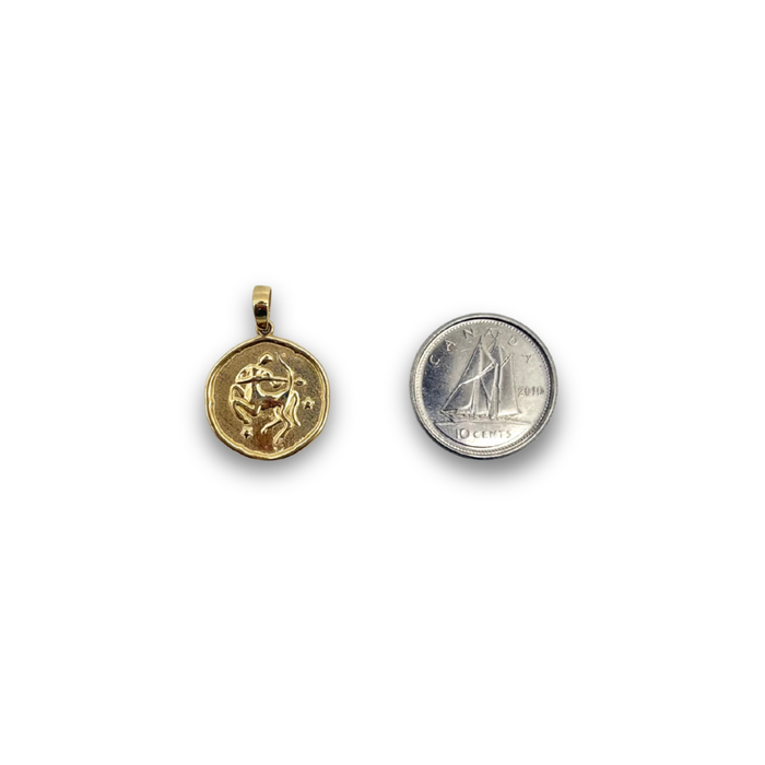 C0030 || Zodiac Coin