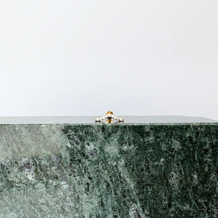 E0048 || CZ Squiggle Stud