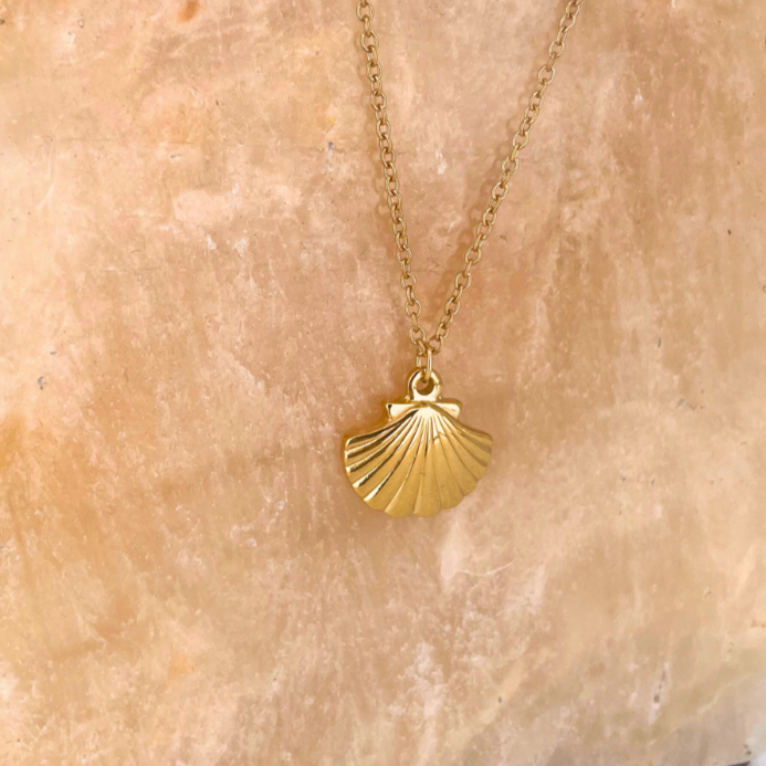 CHARMED || Scallop