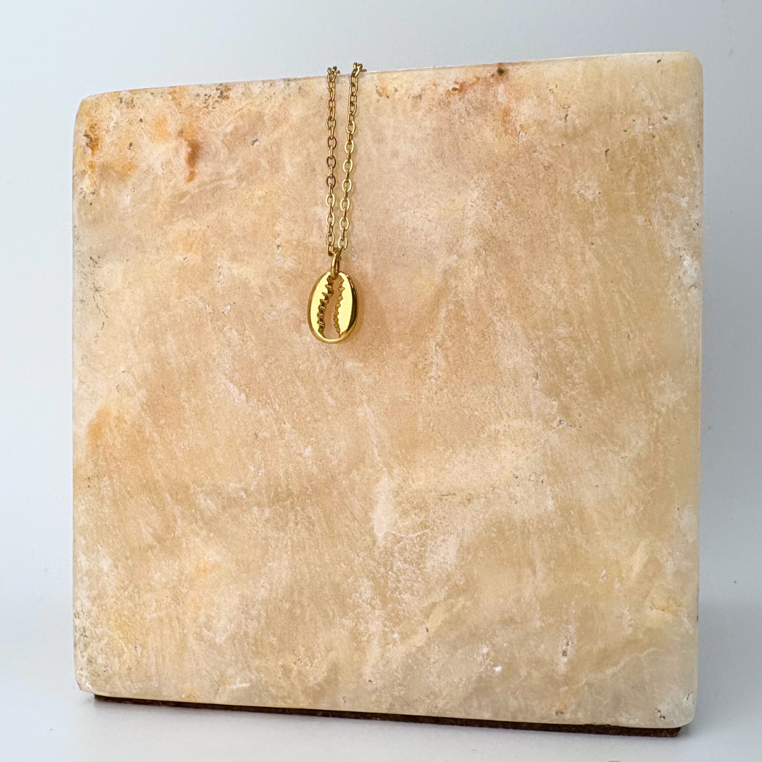 CHARMED || Mini Cowrie Shell– A R M E D