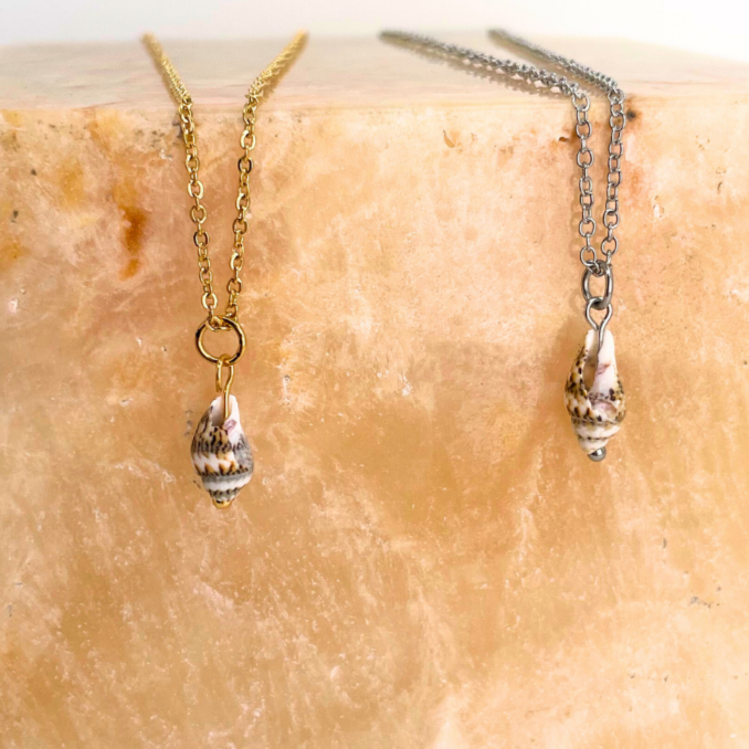 CHARMED || Mini Conch Shells– A R M E D