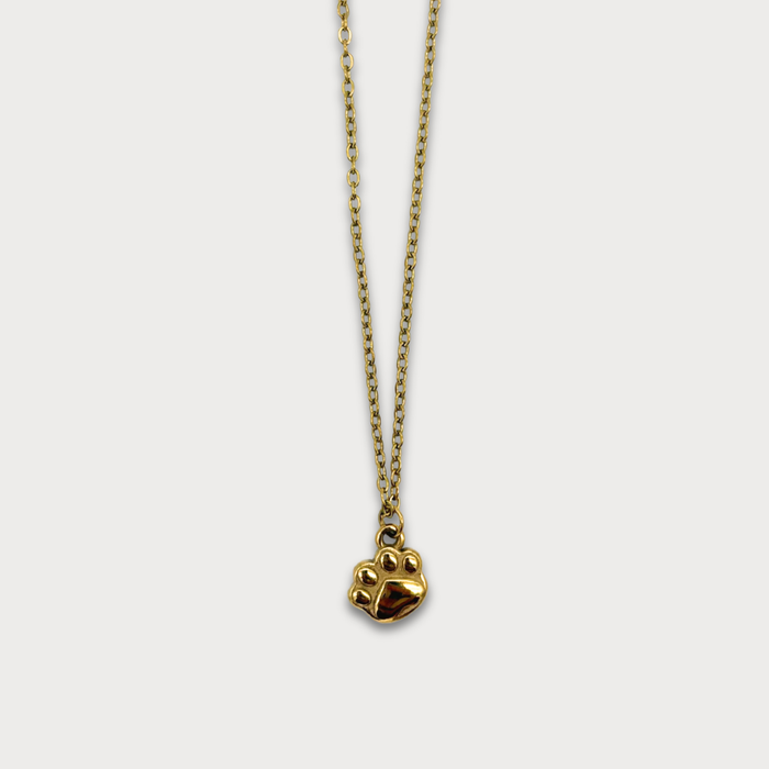 CHARMED || Paw Print